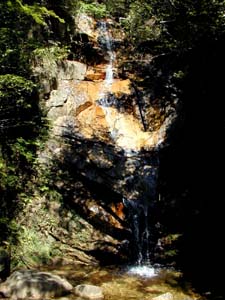 �����̑�