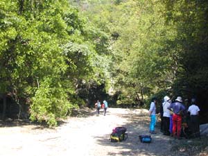 �܂��n���J��k�s�J�n