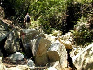 �n���J�͊₪���낲�낵�Ĉ��H