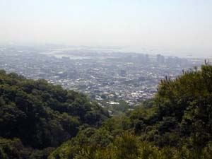 �����₩��͑��p��������