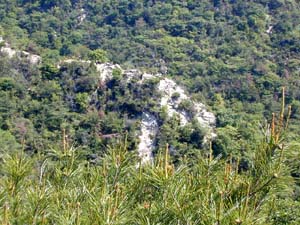 ��������͓��Ƀ��b�N�K�[�f���֌�������ʓ���������