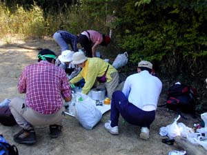 �R�l�b�g�攭�������H����