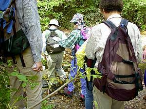 �����n��