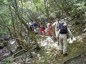 �G�ؗт̒����s��