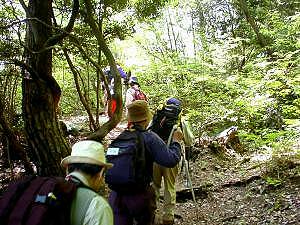 ���͏I�n���Ăł���