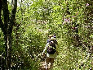 �΂��ƂĂ�������