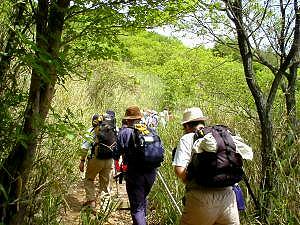 ���悢�摐����