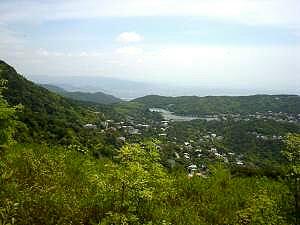 ���r����