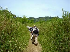 �����͓V�C���ǂ�������������