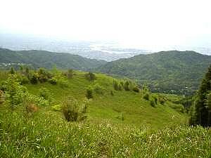 �����炷���̏��ɂ���ȗǂ���������