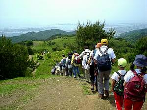 �{�����Ղ֌�����