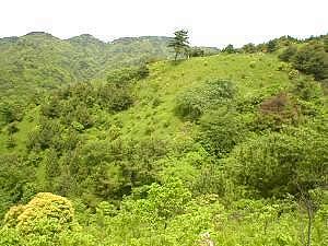 �Z�b�R������