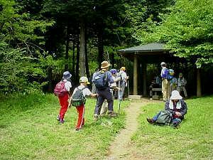 �����x�e