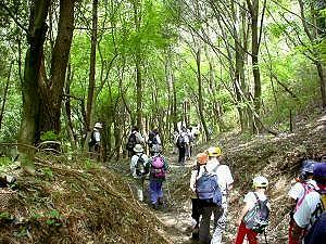 �����n��A���x�͏����[��