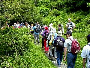 �{�����Ղɓ���