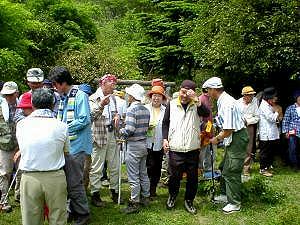 ���ȏЉ�I���o������