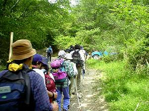 �y�󊄓���