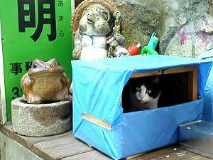 �����ɂ���������L