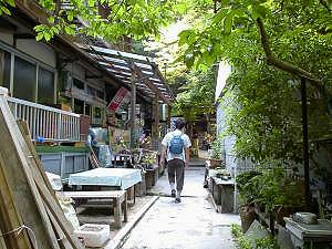 ���͍����̑�