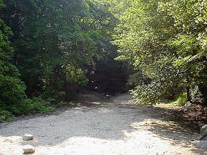 �n���J�ւ̓����