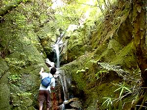 2���[�g���قǂ̑ꂪ��������