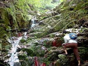 �ǂ���o��Ղ�