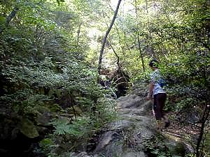 �㗬���͐�������낿�����