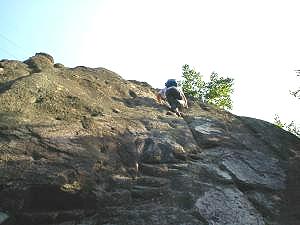 �����܂ŏオ���Ă��܂���