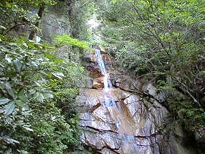 �����̑�܂Ŗ߂��Ă���