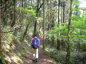 �_�C�������h�|�C���g��ڎw��