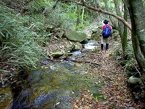 �Γ�ԒJ�͉��₩�ȗ��ꂪ����