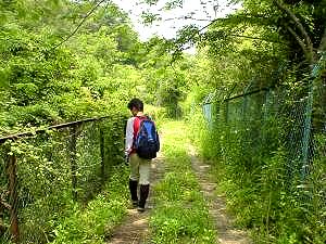 ����͍s���~�܂�łЂ��Ԃ���