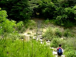 �o�R�����o������