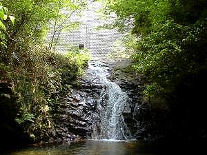 ���h�_�����o�b�N�ɘZ���[�g���ꂪ�o��