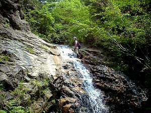 �n�����ɂ�