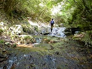 ���₩�ȗ���ɂȂ�����